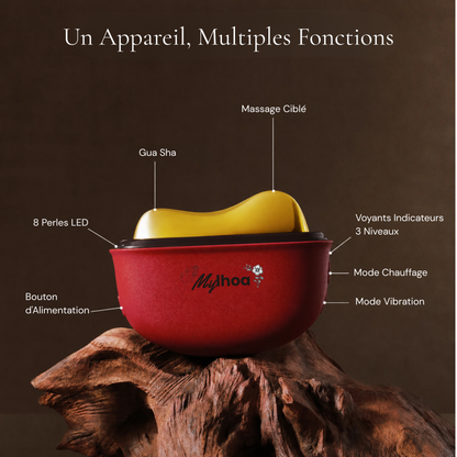 Appareil de massage facial